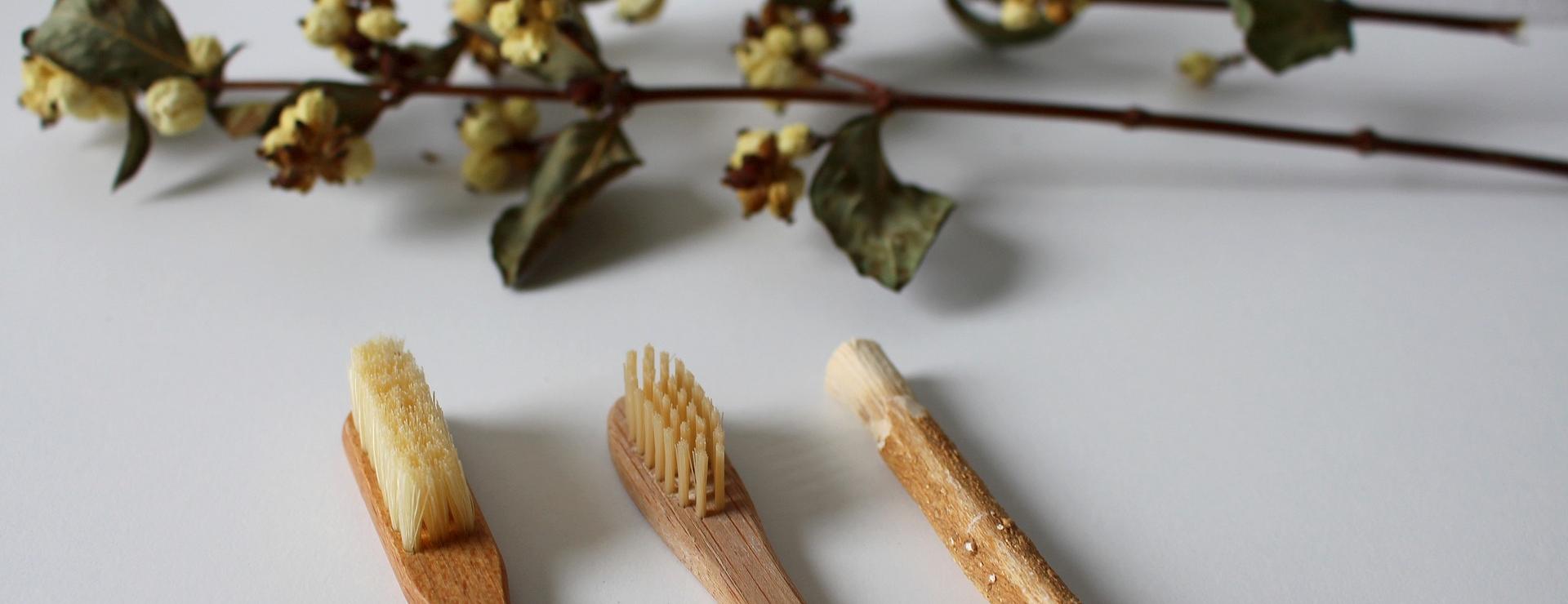 Geschäft Für Körperpflegeprodukte 1 Geschäft Für Körperpflegeprodukte -Geschäft Für Körperpflegeprodukte dental care 4528585 1920