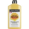 John Frieda Rehab+Revive Tiefenreparatur Shampoo 250ML -Geschäft Für Körperpflegeprodukte john frieda rehabrevive tiefenreparatur shampoo 250ml